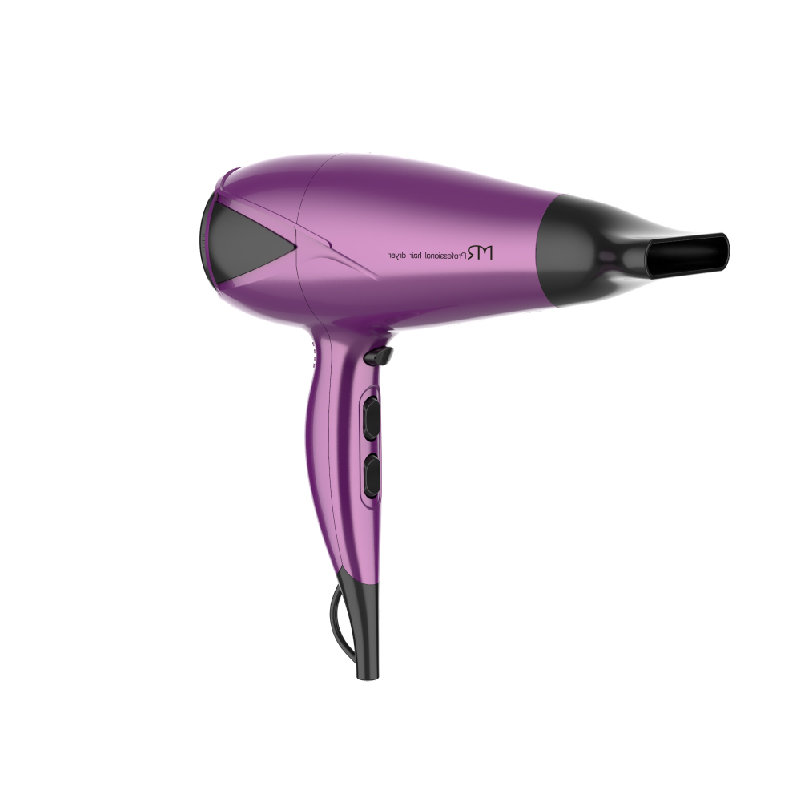 Electric Blow Dryer