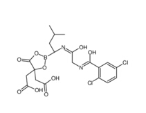  Ixazomib Citrate 1239908-20-3