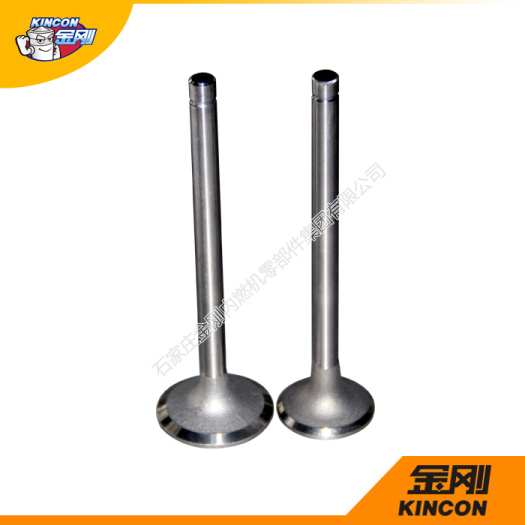 Engine Valves  WD615E3