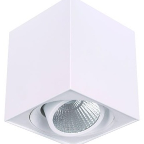 Surface Mounted White 10W  LED DownlightofSurface Mounted White LED Downlight