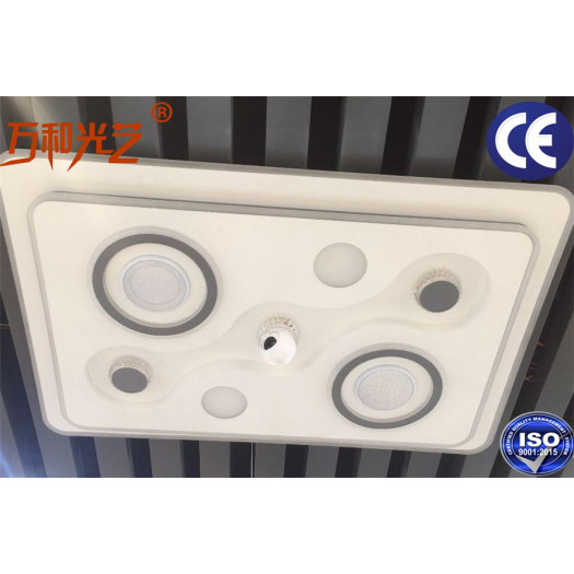 High Quality Smart Ceiling Light Fitting