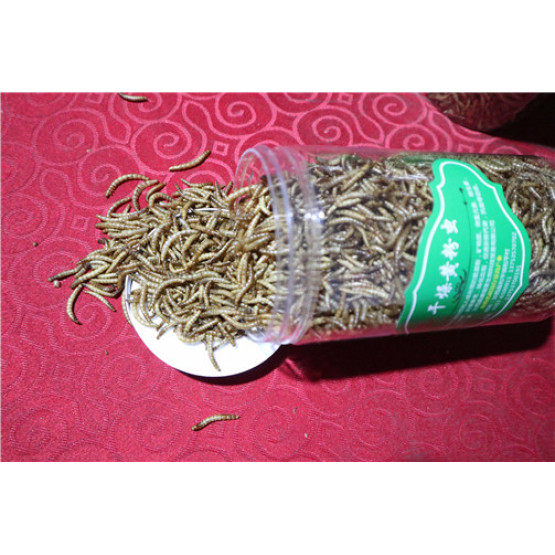 Dried Mealworm For Chicken