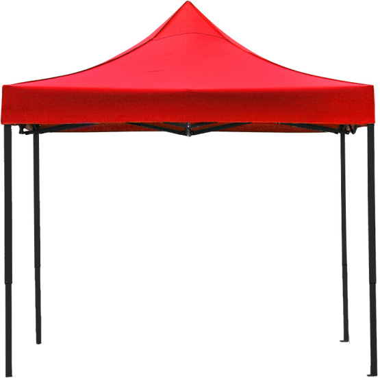 Custom promotional pop up 10x10 tent canopy