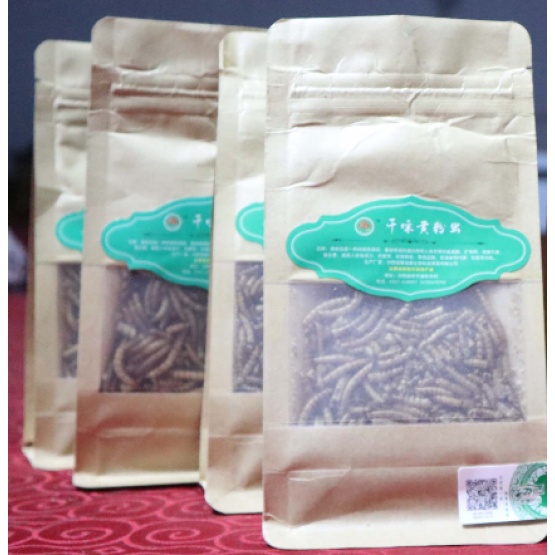 Yellow Mealworms Dried Mealworm