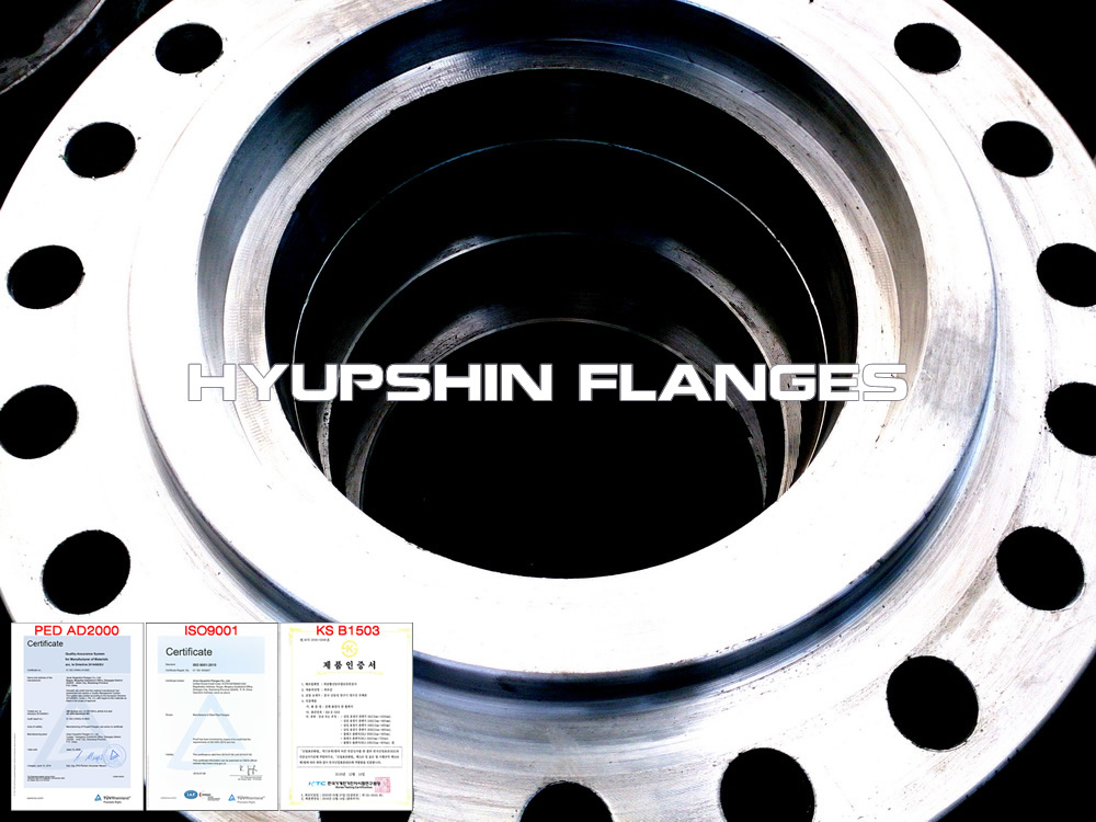 Hyupshin Flanges Ansi Asme Socket Weld