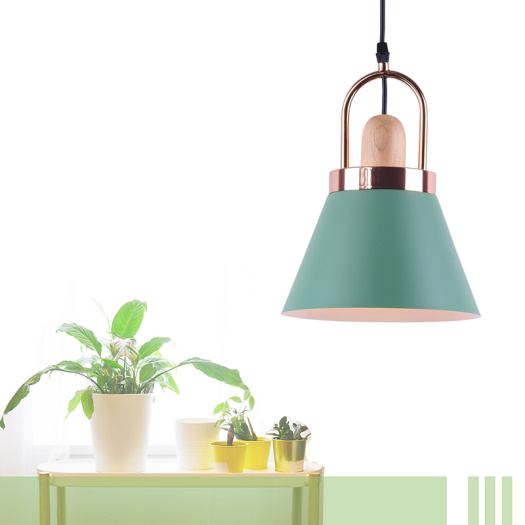 Nordic Modern Chandeliers Designer Pendant Lamp