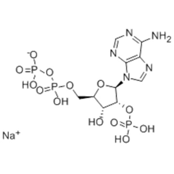 2'-MONOPHOSPHOADENOSINE 5'-*DIPHOSPHORIBOSE SODIUM CAS 53595-18-9