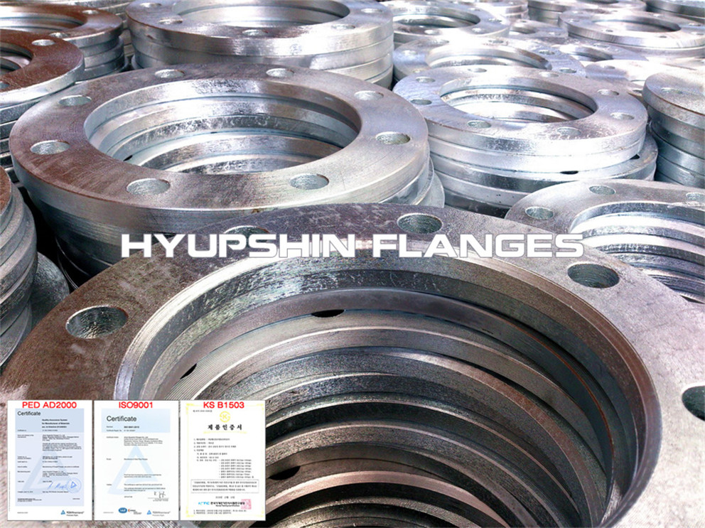 Hyupshin Flanges Backing Ring Hot Galvanizing