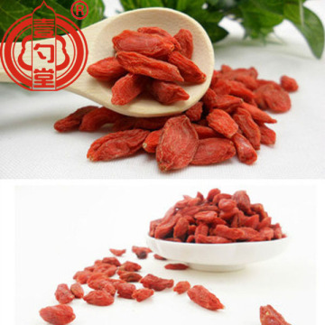 Thick Red Dried Berry Goji Berries Fruit
