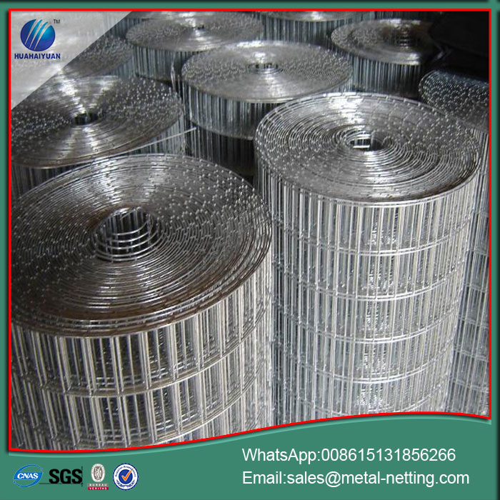 export welded wire mesh 1/2