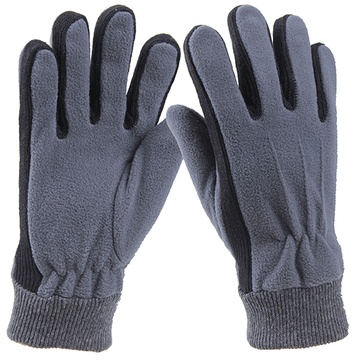 Windproof Warm Insulated Fleece Gloves