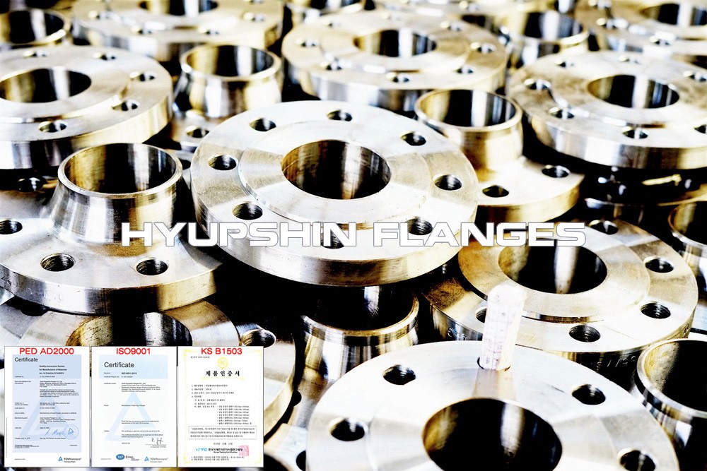 Hyupshin Flanges Weld Neck Rf