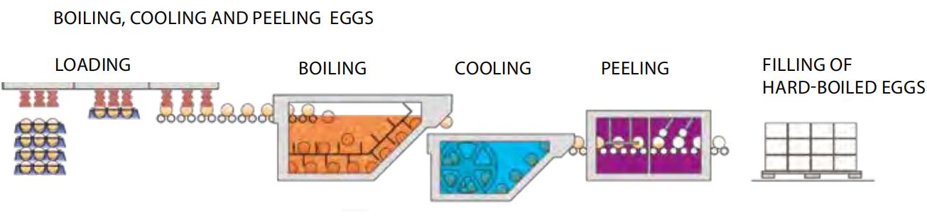 Brown Eggs Boiling Cooling and Peeling Machines Line