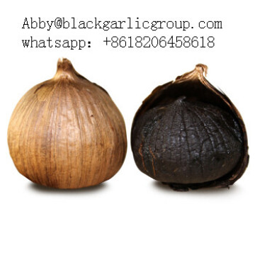High nutritional value of pearl black garlic