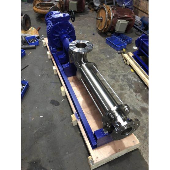 GF stainless steel sanitary grade single screw pump