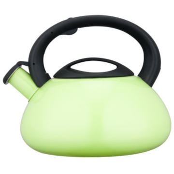 5.0L Stainless Steel Whistling Teakettle with color painting
