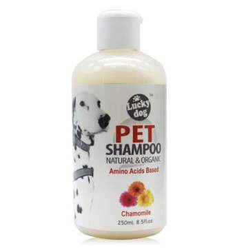 Natural Ingredient Moisturizing 250ml Pet Bottle Shampoo