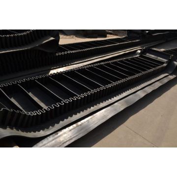 Conveyor Belt With Sidewall
