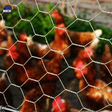 Hexagonal wire mesh for chicken wire