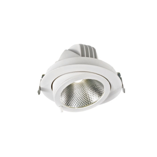 Recessed Aluminnum 48W LED Downlight