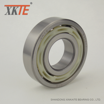 Lapping Groove BB1B420308 C3 PA 66 Cage Idler Bearing