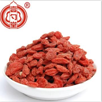 Dried Thick Red Berry Goji Berries