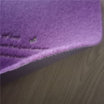 Factory price anti dust colorful door mat