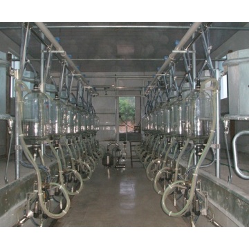 Customized parallel goat milking parlor
