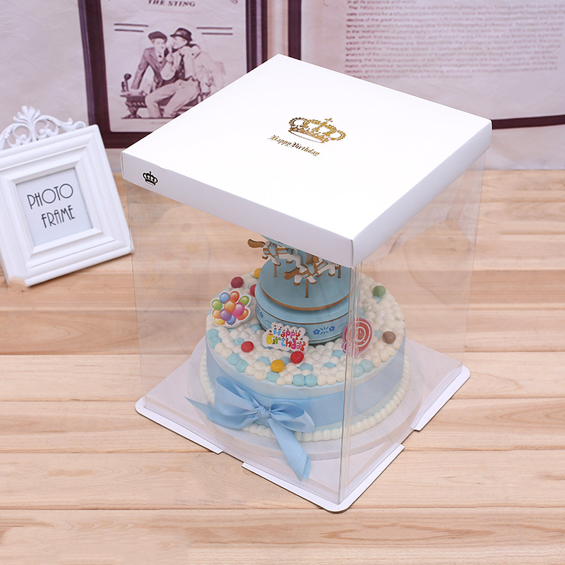 Plastic Cake Box 3