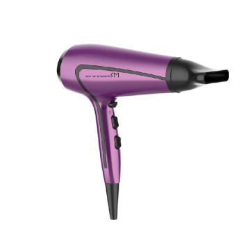 Household Ionic Hair Dryer with DC Motor