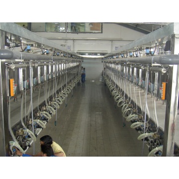 Parallel Arfimilk milking parlor
