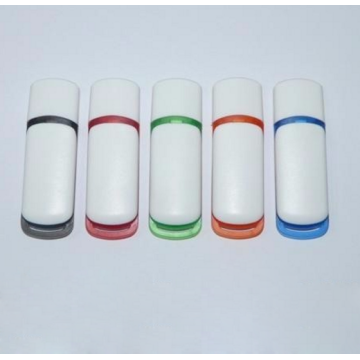Low Price Colorful Plastic USB Flash Drives