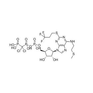 White Power P2Y12 Inhibitors Cangrelor 163706-06-7