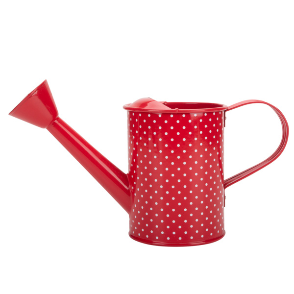 Houseplant Red Watering Can for Succulents