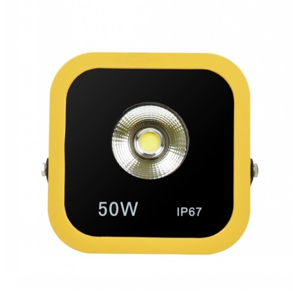 50W Economic Series LED Flood Light IP66