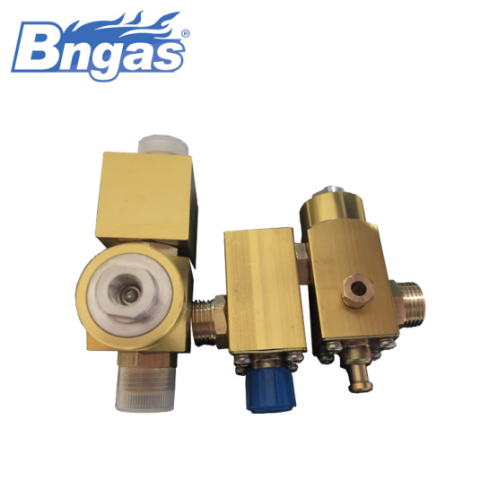 Big flowrate valve assembly commercial gas valve