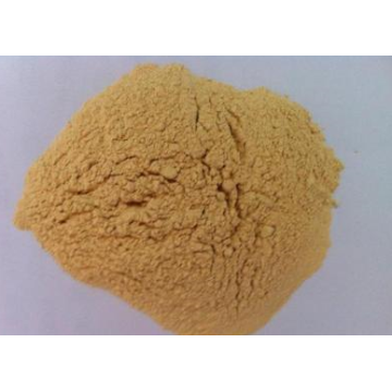 Dehydrated Black Garlic Powder With Grade A