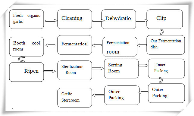 fermented black garlic