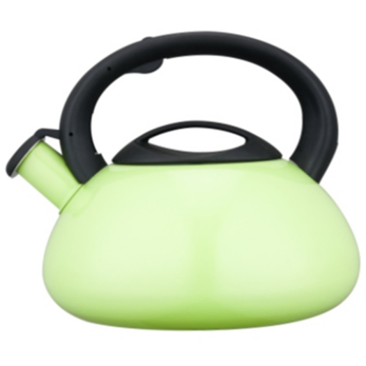 2.5L Stainless Steel Whistling Teakettle with color painting