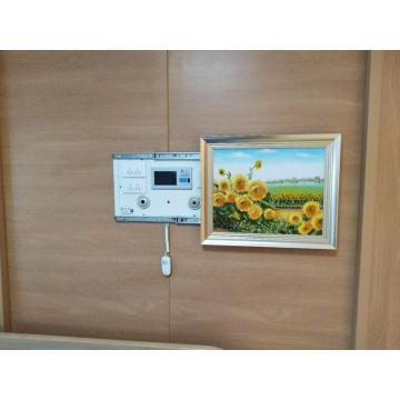 High Level Hospital Mural Bed Head Panel Cost