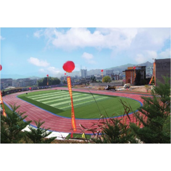 5:1 Anti-yellowing Pavement Materials  Courts Sports Surface Flooring Athletic Running Track