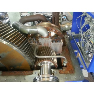 Special Steel Gear For Voith Coupling