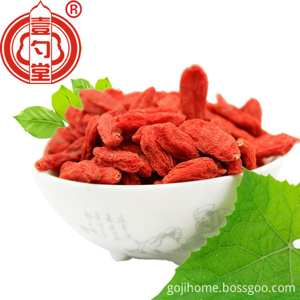 Bulk Dried Goji Berries Fruit