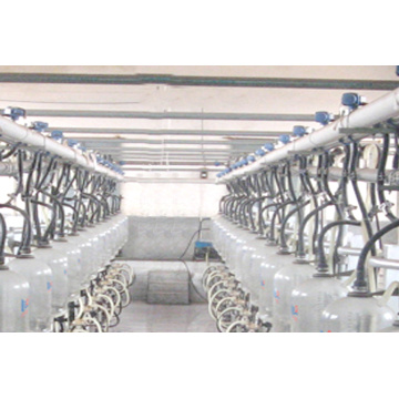 Automatic fishbone bottle milking parlor