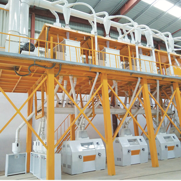 50T maize flour machine