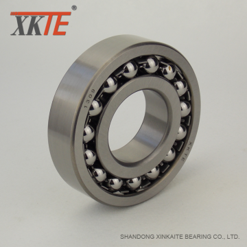 Self aligning Ball Bearing 1309 For Drum Pulley
