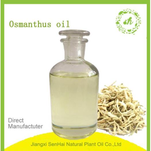 Wholesale natural medicinal honeysuckle essential oil