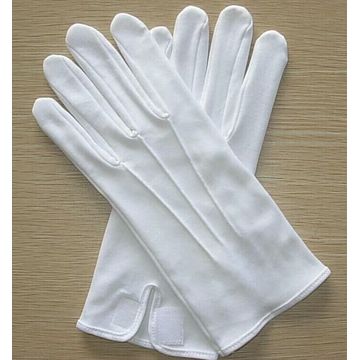 Waiter Band Cotton Parade Hand Gloves