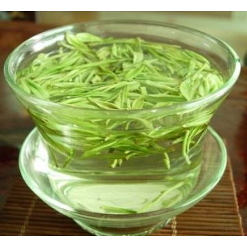 Green Tea Extract L-theanine