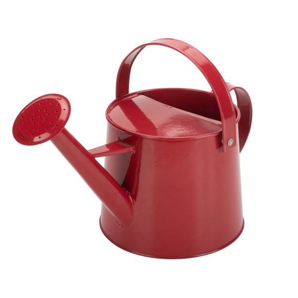 Decorative Galvenized Watering Can Small